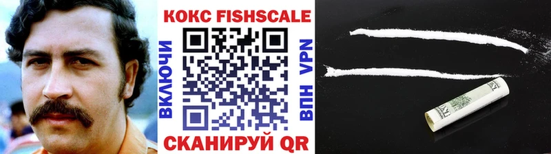 COCAIN FishScale  купить закладку  Салехард 