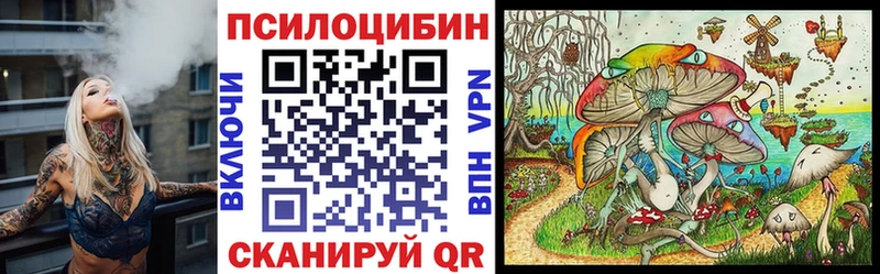 Галлюциногенные грибы прущие грибы  закладка  Салехард 